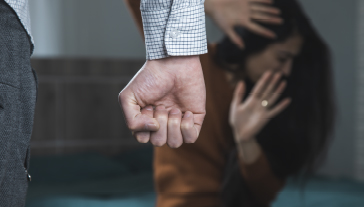 estrategias jurídicas contra la violencia intrafamiliar y protección integral (ley 348)